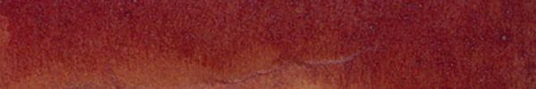 Logwood