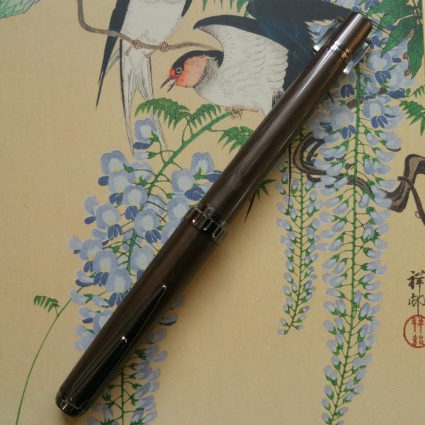 Sailor Reglus IP Colour Trim Fountain Pen -9296