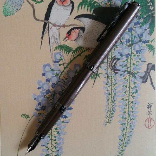 Sailor Reglus IP Colour Trim Fountain Pen -9297