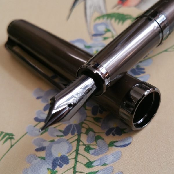 Sailor Reglus IP Colour Trim Fountain Pen -9299