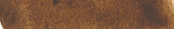 Burnt Umber