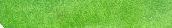 Cobalt Green Light