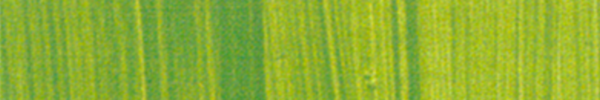 Permament Green Light