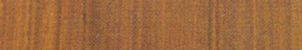 Raw Sienna