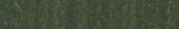 Raw Umber