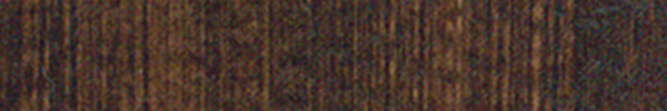 Raw Umber