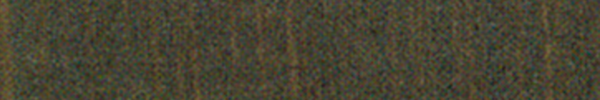 Raw Umber Greenish