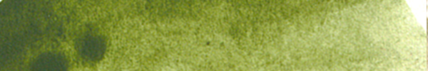 Verona Green Earth