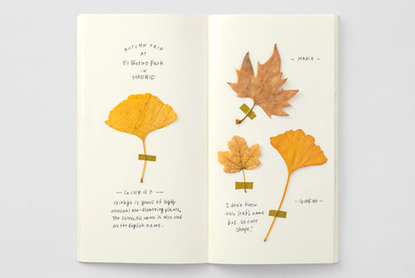 Traveler's 025 MD Paper Cream Refill Example